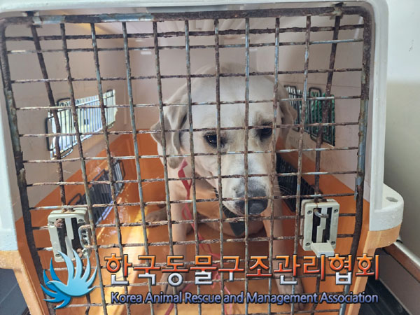 한국동물구조관리협회_411306202300770